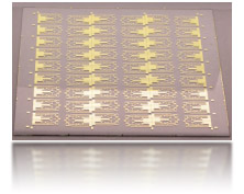Bio Chip (Thin electrodes are deposited by sputtering)