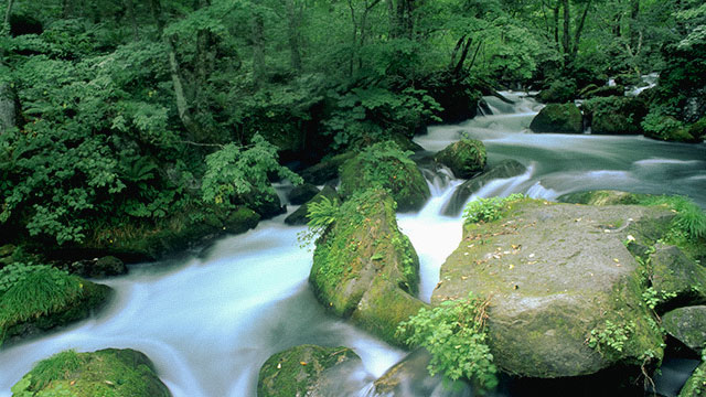Environmental Initiatives image